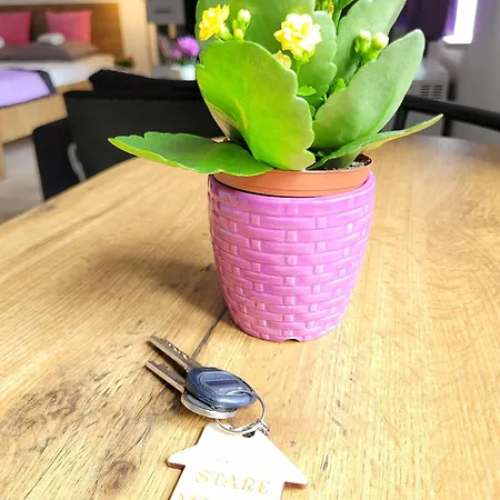 Stare Ii Appartamento *